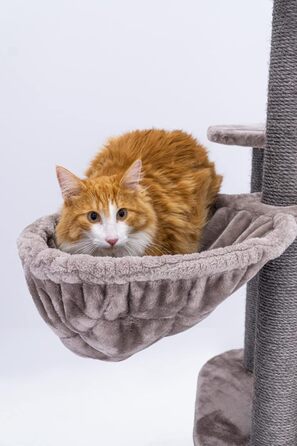 Котячий дерев'яний комплекс Petrebels Charlotte 134 см, преміум-якість, з гамаком, лежаком та будиночком, колір капучино