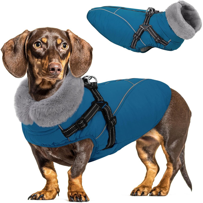 Зимовий теплий водонепроникний одяг для собак Queenmore, куртка для собак з шлейкою, 3-шаровий, світловідбиваючий, для великих порід (Лабрадор, Хаскі, Голден Ретрівер) (2XL) (XS, Коеліновий блакитний)