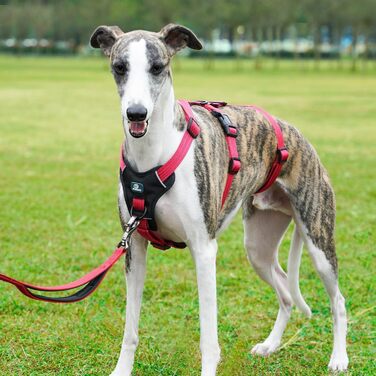 Пауерлд Безпечне обплетення для собак, шлейка від потягування, шлейка від паніки, анти-зламна шлейка для собак, регульована, дихаюча жилетка для маленьких, середніх та великих собак (XL) Екстра Великий (Упаковка з 1), Рожевий