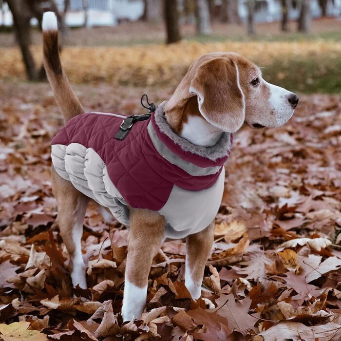 Водонепроникний собачий дощовик Lelepet, тепла зимова куртка для собак з шлейкою, куртка від снігу, теплий собачий пуловер для маленьких, середніх та великих собак (L)