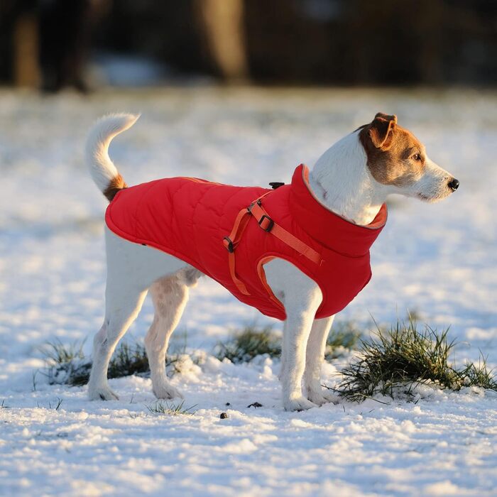 Зимові куртки для собак, шлейки, водонепроникна куртка з флісовою підкладкою, світловідбиваючі, персоналізовані, оранжевий/червоний, XL/M