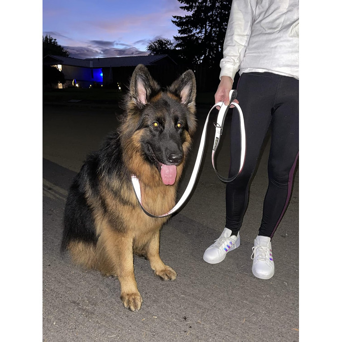 Відбивний нашийник Cycle Dog із металевою пряжкою, розмір M (30,5–53,3 см), 100% світловідбивний, для собак, міцний, з відкривачкою для пляшок, не потребує заряджання, для безпеки у темряві