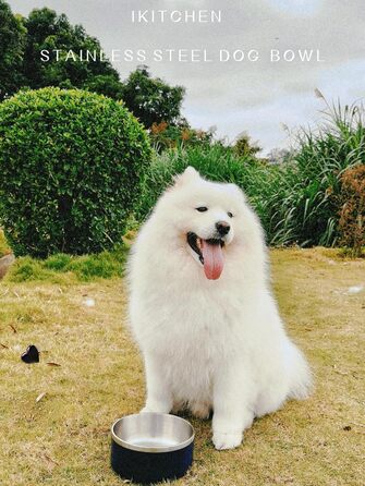 Миски для собак IKITCHEN з нержавіючої сталі, подвійні стінки, 1,8 л, чорні, для корму та води, з гумовим дном