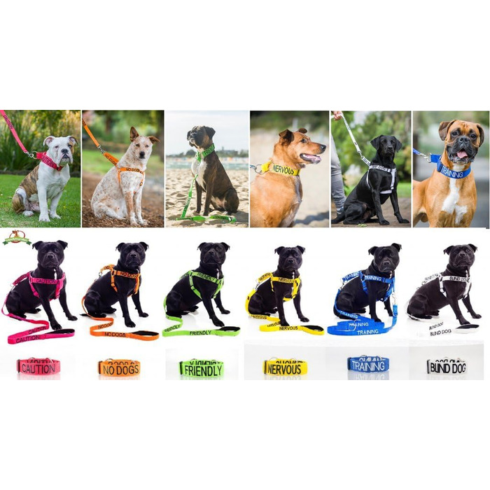 Нашийник для собак з неопрену з написом 'Therapy Dog', блакитний, з підкладкою, розмір L-XL (15-25' x 1.25')