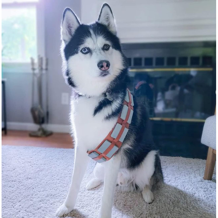 Костюм для собак на Хелловін ComfyCamper, регульований, розміри S, M, XL, Cosplay, Французька лабораторія, Новий Рік 2024