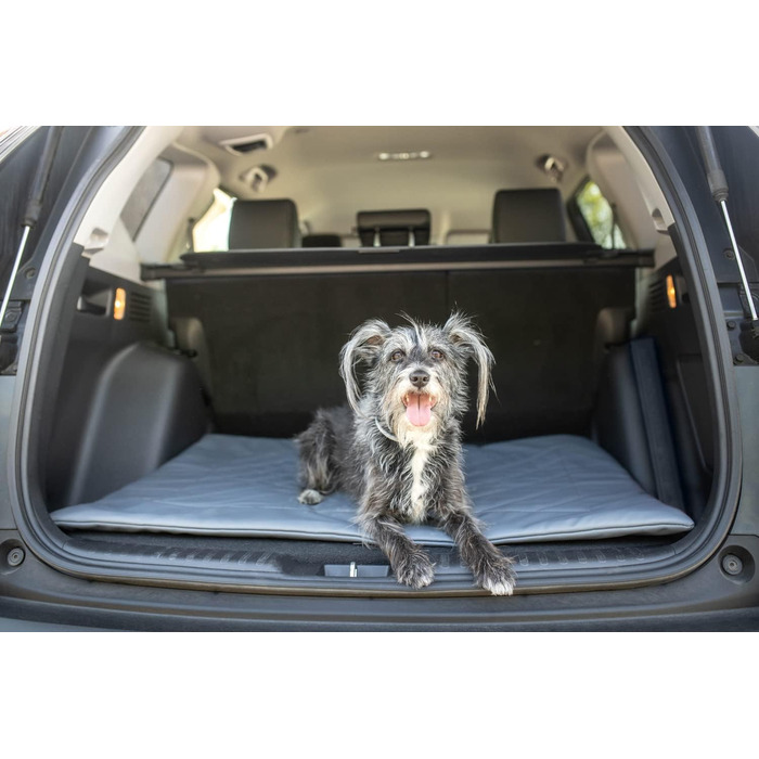 Килимок для собак BARRY & LUCY: лежанка, килимок в авто, килимок для годування. Легкий догляд, водонепроникний, штучна шкіра (55x75/75x55, чорний)