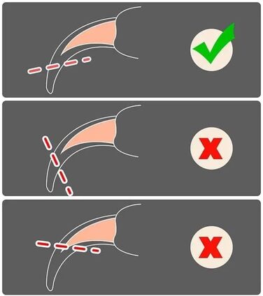 Набір для стрижки кігтів котам та дрібним тваринам (4 шт.) з захистом, подвійний отвір, для котів, кошенят, собак