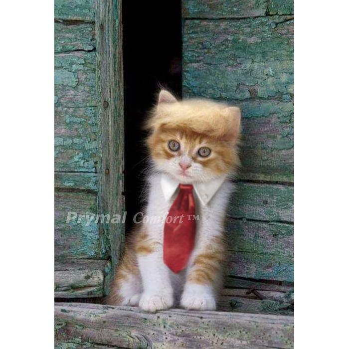 Костюм на Хелловін для кота/собаки: Трамп, жовтого та червоного кольорів