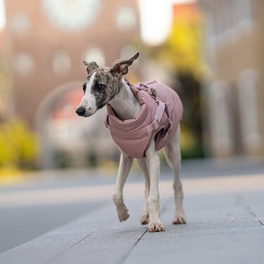 Тепла жилетка для собак з повідком, водонепроникний дощовик для маленьких собак, куртка для цуценят на холодну зиму (Рожевий, 5XL)
