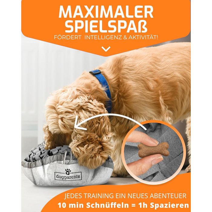 Schnüffelteppich для собак DOGPARENTS® – килимок для пошуку та розваг, міцний, для малих та великих собак, зелений (сірий)