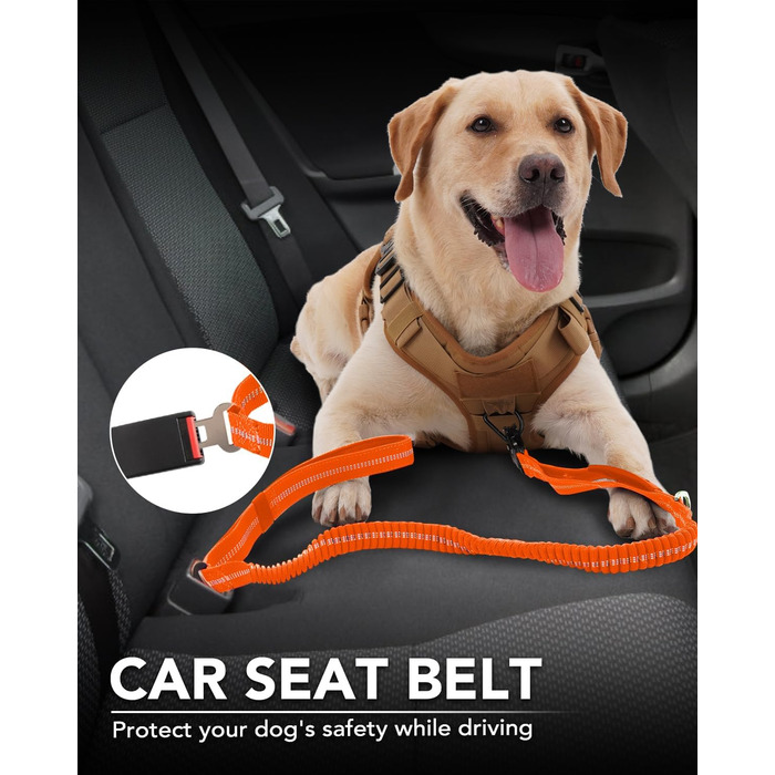 Тактична повідок для собак Joytale, 1.2м-1.8м, еластична (bungee), з 2 м'якими ручками, автофіксатор, без натягу для собак середніх, великих та екстра-великих порід, помаранчевий колір