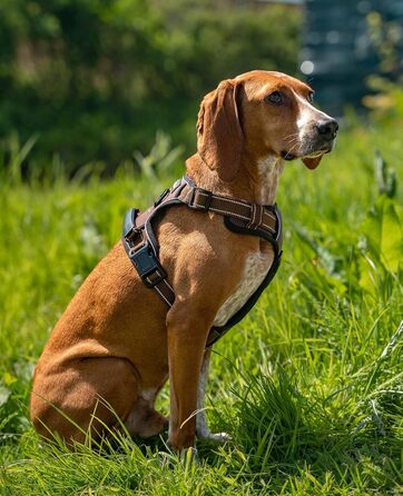 Шлейка для собак Ionto з відбиваючим матеріалом, м'яка, розмір M, коричнева, з двома кільцями та 4 ременями, з фіксаторами та гумовим ручним захопленням
