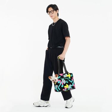 Сумка-переноска для котів та собак Paylamon, складана, для подорожей, з графіті