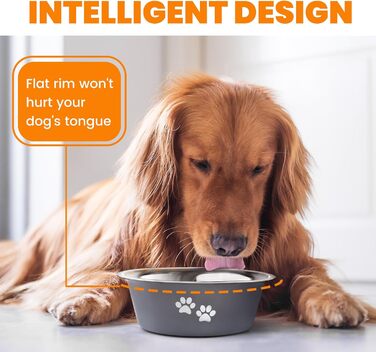 PETTOM Миски для собак 2 шт. з нержавіючої сталі (3120 мл), миски для корму для собак, миски для води з неслизьким силіконовим дном для великих, середніх та маленьких собак, сірі, 21 см