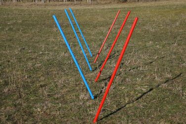 Набір для тренувань Wuzzmann Agility: Slalom з гнучких стержнів (6шт) синій/червоний