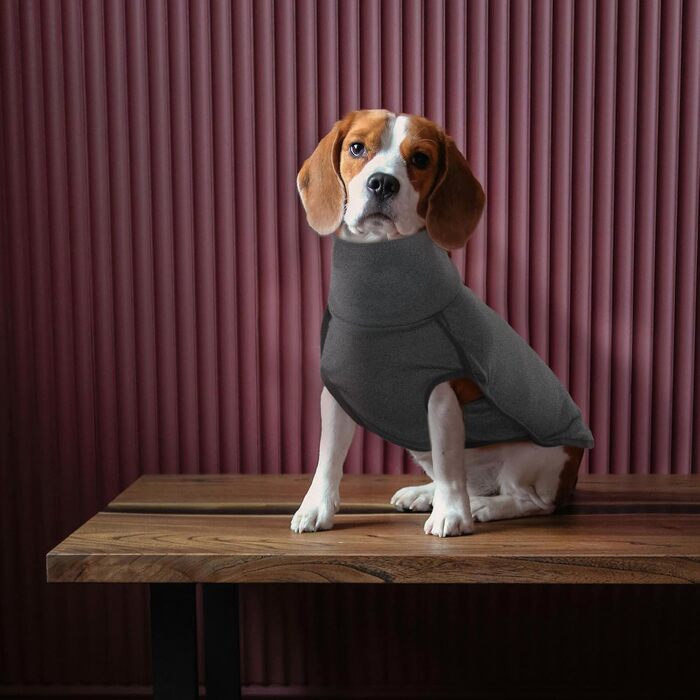 Теплий зимовий пуловер для собак Rozkitch з отвором для повідка, чорний, розмір Small. Захист від вітру, комфортний, для прогулянок, подорожей та відпочинку.