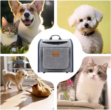 Рюкзак-переноска для собак на велосипед: складний, портативний, безпечний, для прогулянок, подорожей, сімейного відпочинку