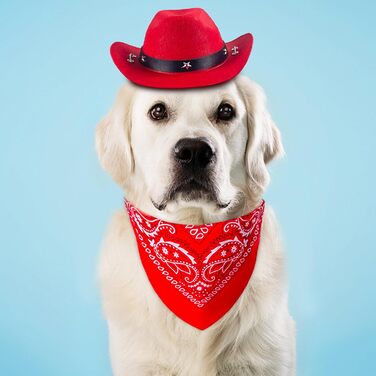 Ковбойський комплект для тварин: капелюх та бандана для собак та котів. Ідеально для святкування дня народження в мексиканському стилі та повсякденного носіння. Червоний, однотонний (Getaway Solids)