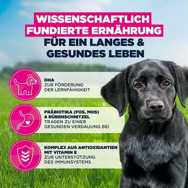 Сухий корм для собак великих порід Eukanuba з куркою для дорослих, преміум-клас, 15 кг