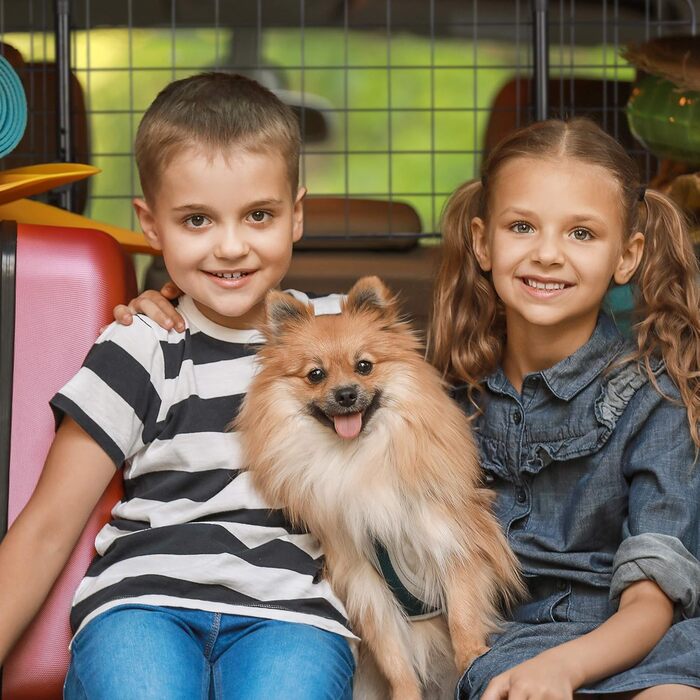 Сітка для собак у машину Relaxdays, перегородка, регульована ширина, чорна, 32 x 92-136 см