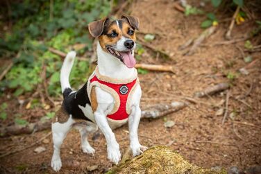 М'який нашийник для собак CHIARA MIA, розмір XL, червоний, водонепроникний, з клямками, світловідбиваючі смуги
