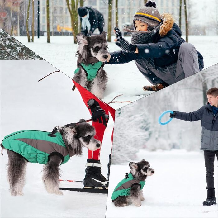 Зимовий теплий одяг для собак, теплий зимовий одяг, вітронепроникний, світловідбиваючий, флісовий, одяг для собак з шлейкою, теплий флісовий жилет для собак, розмір XL, одяг для собак, на блискавці, одяг для собак від снігу, зелений