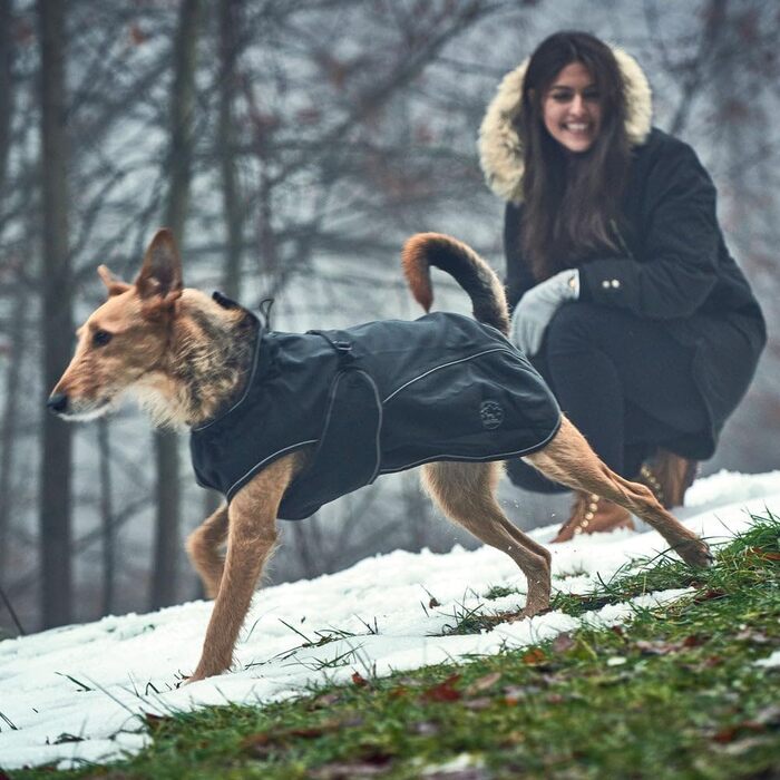 Собачий дощовик HUNTER UPPSALA Softshell чорний, водонепроникний, вітрозахисний, спортивний дизайн, флісовий підклад, регульований, з відбивачами, розмір 50