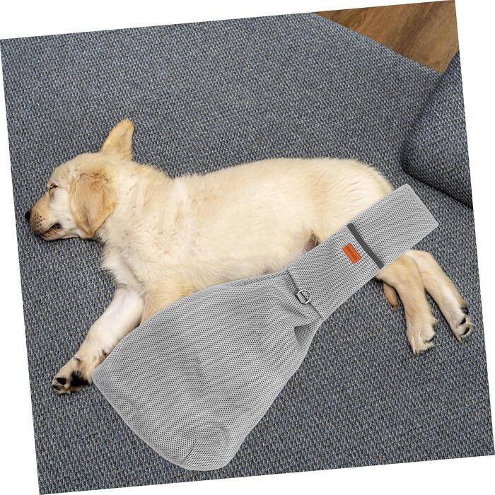 Рюкзак для собак і котів Supvox: зручний та легкий для подорожей та прогулянок