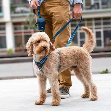 Шлейка для собак DOG Copenhagen Comfort Walk Air 3.0, чорна, розмір M