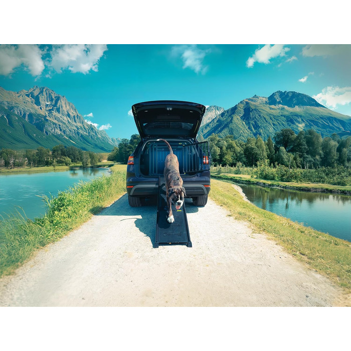 4pets Easy-Steps - Рампа для собак у бокси, металевий сірий колір, швейцарська якість