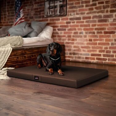 Ортопедичний лежак для собак Tierlando Alice Easy CLEAN з екошкіри та віскоеластичної піни, розмір: | колір: