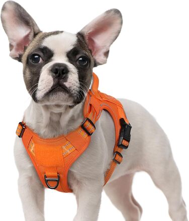 Нашийник для собак Rabbitgoo середнього розміру, анти-тяга, регульований з ручкою, міцний, тактичний, з металевими пряжками, для прогулянок (M, Оранжевий)