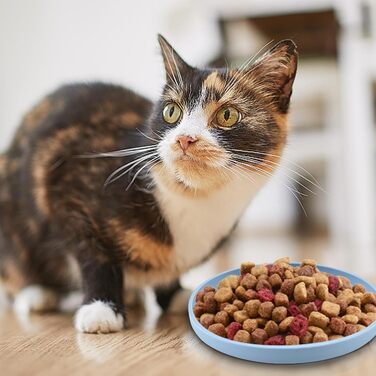 Набір з 4 миски для котів, 18 см, силікон, для сухого та вологого корму (темно-зелений, світло-рожевий, скандинавський блакитний)