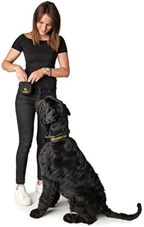 Нашийник для собак HUNTER Neopren Reflect BVB, світловідбиваючий, з підкладкою, чорний/жовтий, 45 см