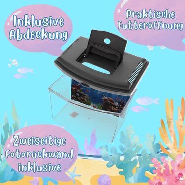 Акваріум-терраріум для триопс, креветок та інших мешканців: акрил, з кришкою та фольгою для задника