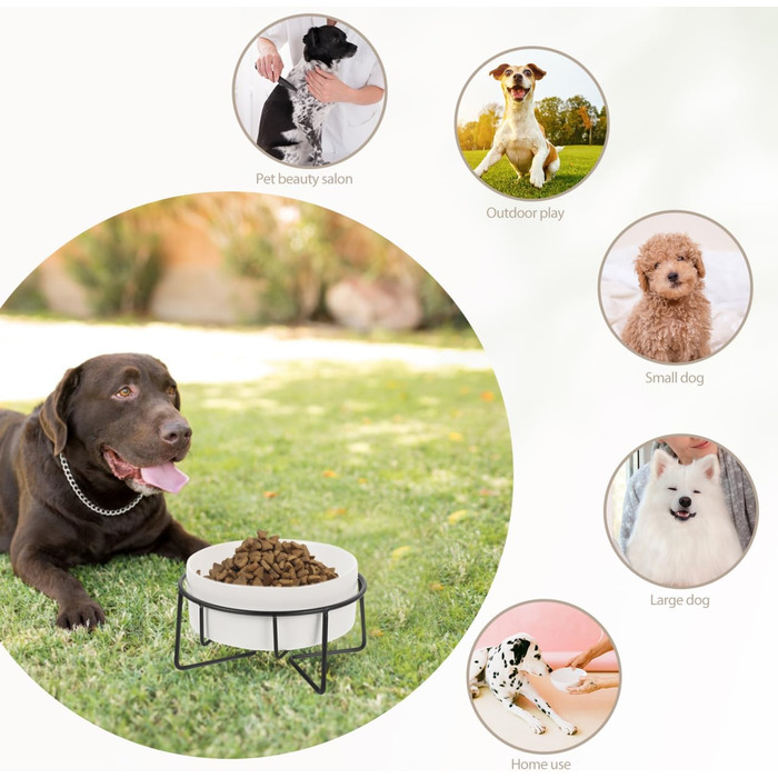 Миска для котячого корму POPETPOP з піднятою конструкцією та неслизьким дном, 14.5x8.5 см