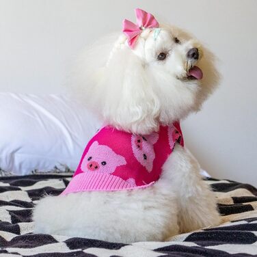 Теплий зимовий пуловер для собак CuteBone з візерунком сніжинок, розмір M, рожевий (з отвором для повідка) DS72-DE