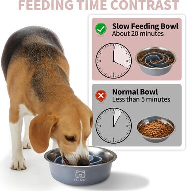 Миска для собак 2-в-1 Slow Feeder з нержавіючої сталі Bestalk, миска для їжі та води з антиковзним дном, 304 сталь, сірий колір, об'єм 1.5 чашки