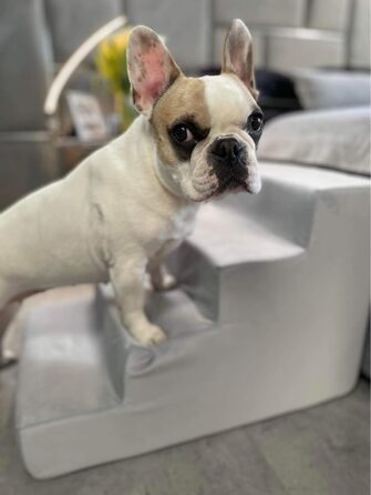 Сходинка для собак Velinda з 4 сходинками, для котів, для домашніх тварин, допомога у підйомі, з пінопласту (колір: кремовий)