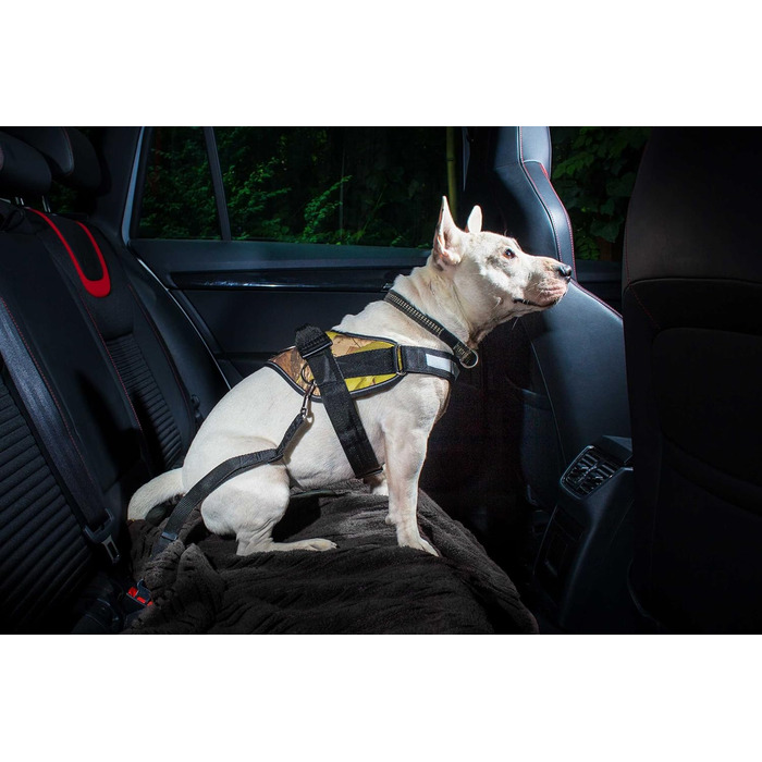 Автоматичний поводок Julius-K9 StopDog для собак (0-10 кг, рожево-сірий)