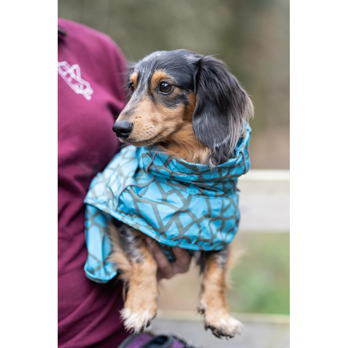 Дощовик для собак Rukka Pets HAYTON WARM Aqua 25, водонепроникний