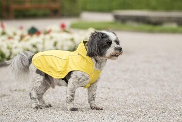 Жовта дощова куртка CHIARA Scotty Regenjacke з інтегрованою підкладкою (L, 100% поліестер, спортивна, водонепроникна)