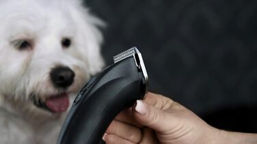 Машинка для стрижки собак Rotschopf24 Edition Arco Pro: акумуляторна, для професійного використання, з чохлом. 44204 (1 акумулятор)