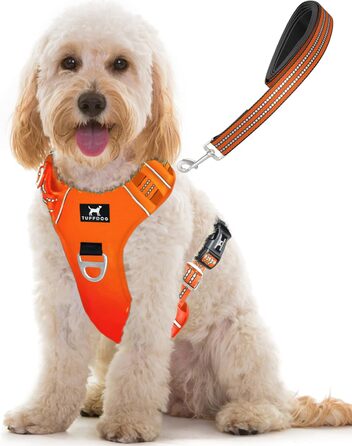Шлея для собаки TUFFDOG Easy-Fit M, зручна, м'яка, світловідбивна, із ручкою, регульована, антиковзна, комплект із повідцем, Blaze