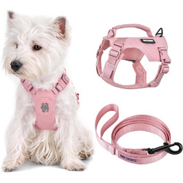 колір: роза