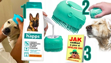 Великий посилений садовий басейн для собак XXL — Меганабір