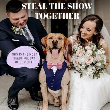 Смуговий костюм для собак AVERYDAY: смокінг для вечірки, Хелловіну, косплею, весілля. Підходить для середніх та великих собак (XL, блакитний смокінг + рожева краватка)