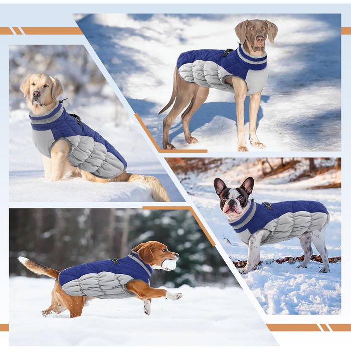 Зимова куртка для собак, тепла, водонепроникна, вітронепроникна, флісова, з блискавкою, для цуценят, прогулянок та походів, блакитна