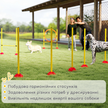 Тренувальний комплект для собак PawHut — набір для аджиліті з бар'єром, обручем, слаломом та сумкою