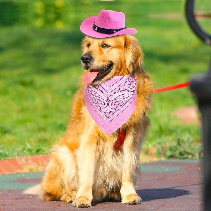 Ковбойський костюм для тварин: капелюх та бандана, рожевий. Аксесуари для собак та котів, ідеально для свят та повсякденного використання